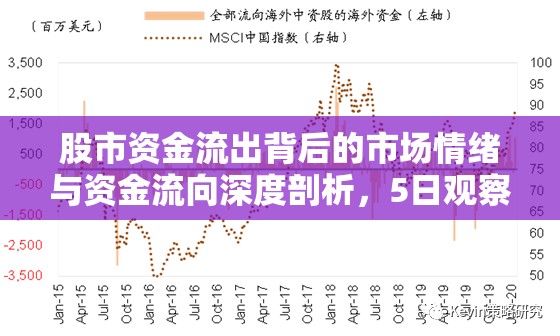股市資金流出背后的市場情緒與資金流向深度剖析，5日觀察