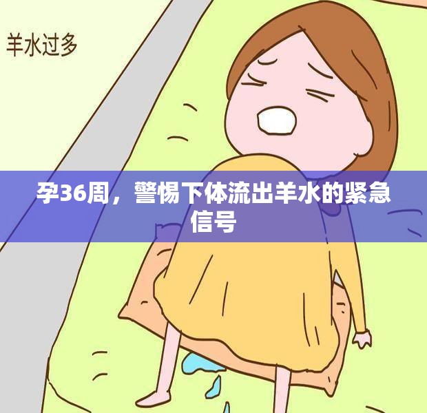 孕36周，警惕下體流出羊水的緊急信號