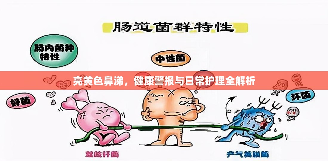 亮黃色鼻涕，健康警報與日常護理全解析
