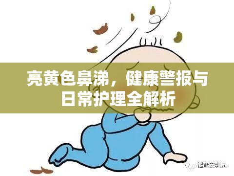 亮黃色鼻涕，健康警報與日常護理全解析