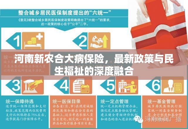 河南新農合大病保險，最新政策與民生福祉的深度融合