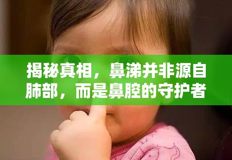 揭秘真相，鼻涕并非源自肺部，而是鼻腔的守護(hù)者