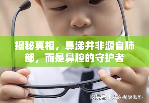 揭秘真相，鼻涕并非源自肺部，而是鼻腔的守護(hù)者