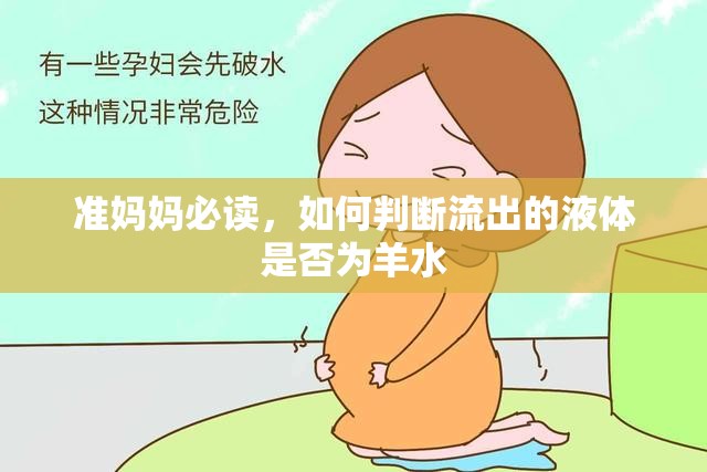 準媽媽必讀，如何判斷流出的液體是否為羊水