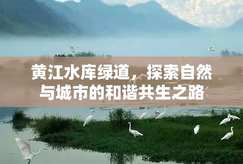 黃江水庫(kù)綠道，探索自然與城市的和諧共生之路