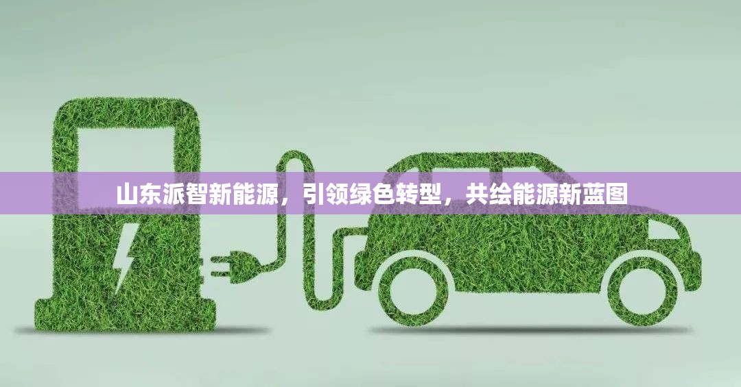 山東派智新能源，引領(lǐng)綠色轉(zhuǎn)型，共繪能源新藍圖
