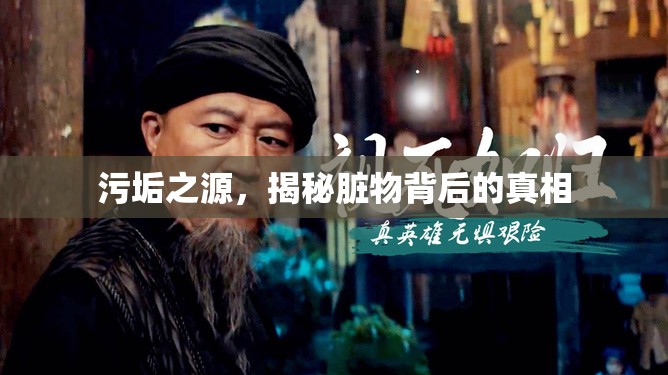 污垢之源，揭秘臟物背后的真相