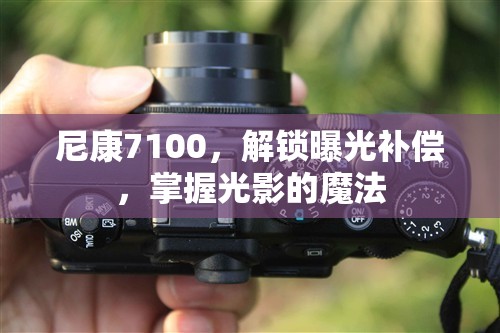 尼康7100，解鎖曝光補償，掌握光影的魔法