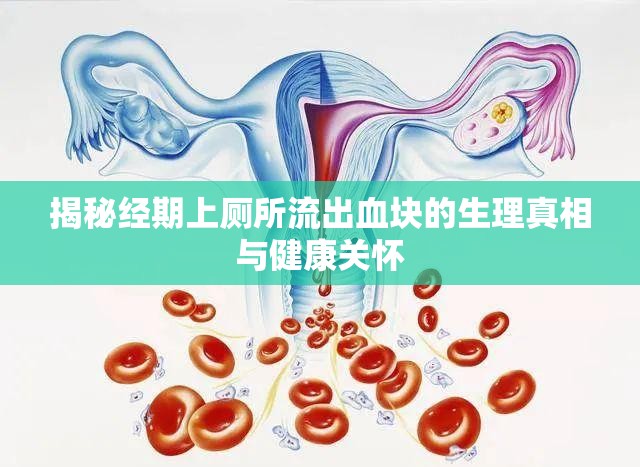 揭秘經(jīng)期上廁所流出血塊的生理真相與健康關(guān)懷