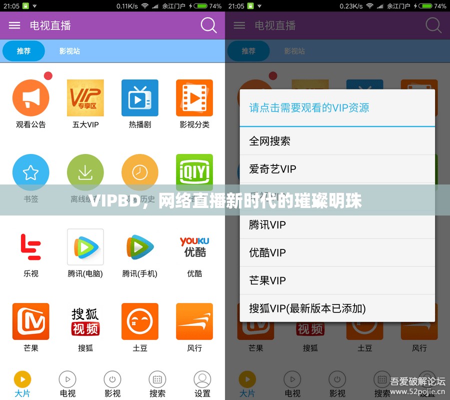 VIPBD，網(wǎng)絡(luò)直播新時(shí)代的璀璨明珠