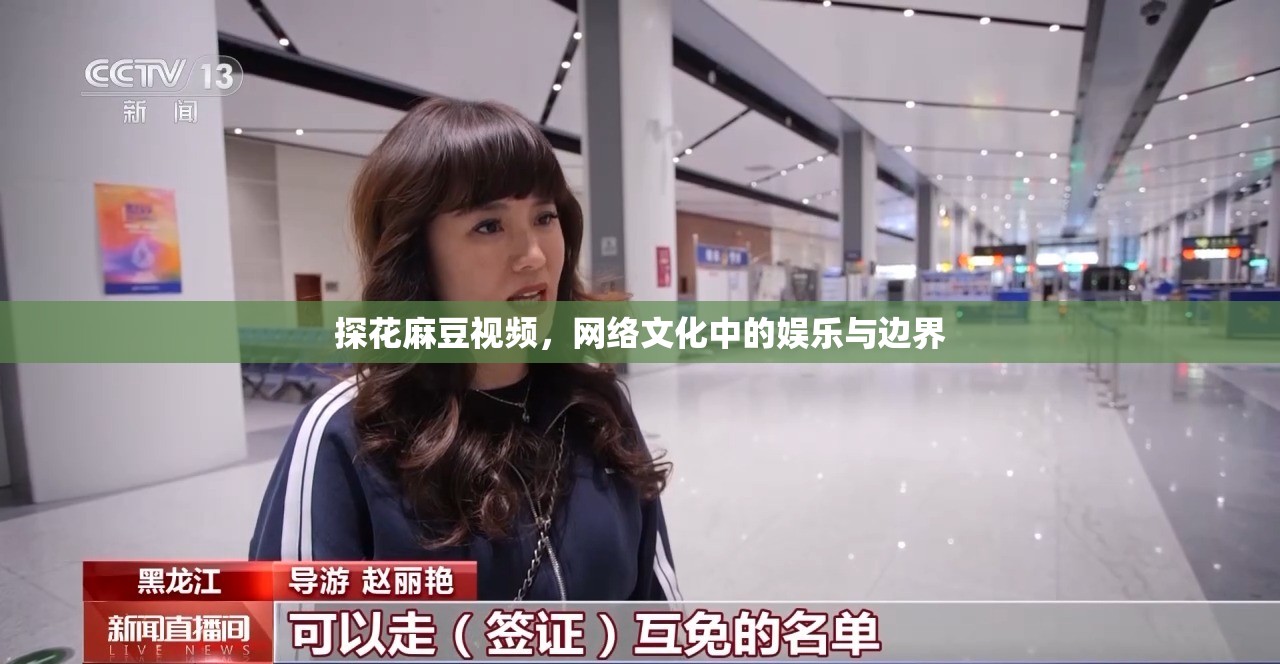 探花麻豆視頻，網(wǎng)絡(luò)文化中的娛樂與邊界