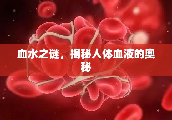 血水之謎，揭秘人體血液的奧秘