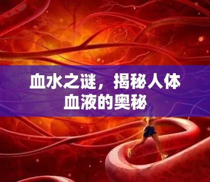 血水之謎，揭秘人體血液的奧秘
