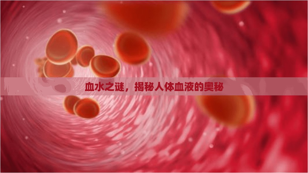血水之謎，揭秘人體血液的奧秘