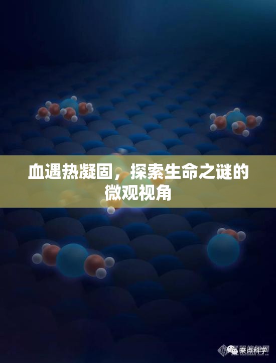 血遇熱凝固，探索生命之謎的微觀視角