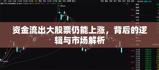 資金流出大股票仍能上漲，背后的邏輯與市場解析