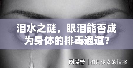 淚水之謎，眼淚能否成為身體的排毒通道？