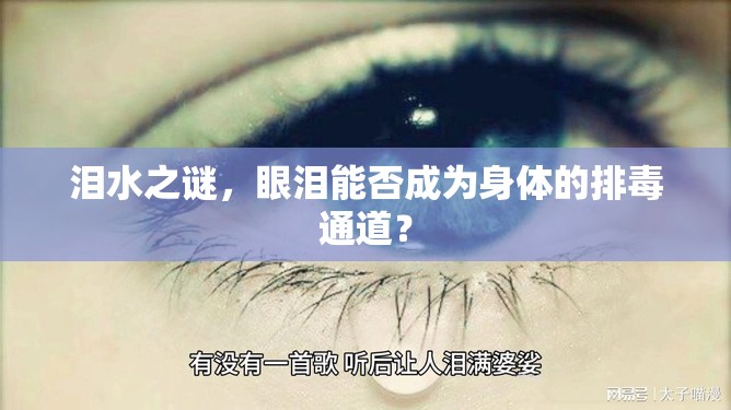 淚水之謎，眼淚能否成為身體的排毒通道？