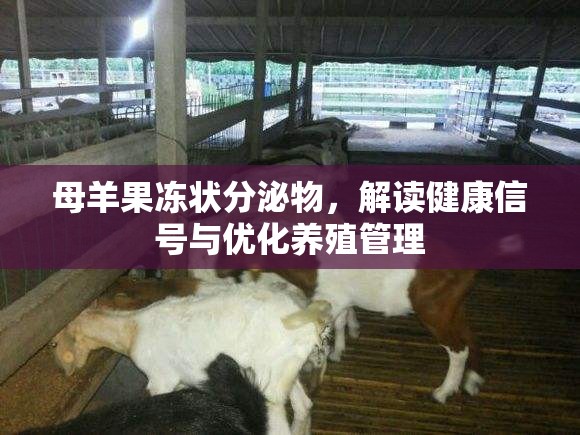 母羊果凍狀分泌物，解讀健康信號與優(yōu)化養(yǎng)殖管理