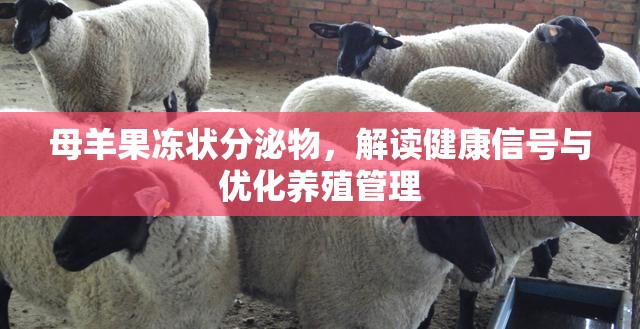 母羊果凍狀分泌物，解讀健康信號與優(yōu)化養(yǎng)殖管理