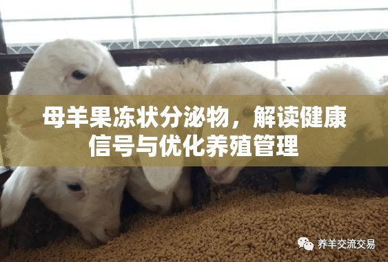 母羊果凍狀分泌物，解讀健康信號與優(yōu)化養(yǎng)殖管理