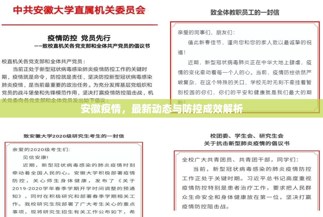 安徽疫情，最新動態(tài)與防控成效解析