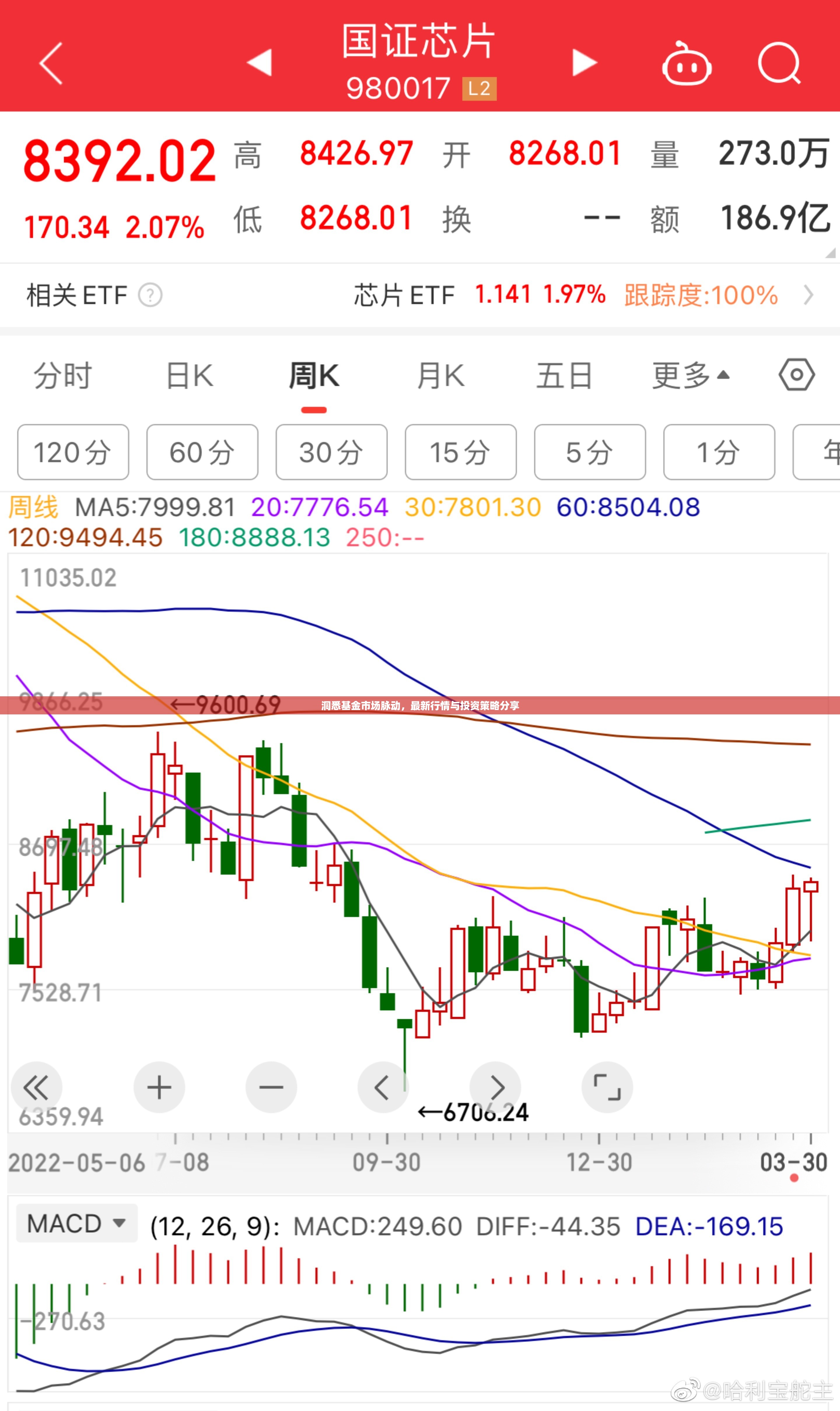 洞悉基金市場脈動，最新行情與投資策略分享