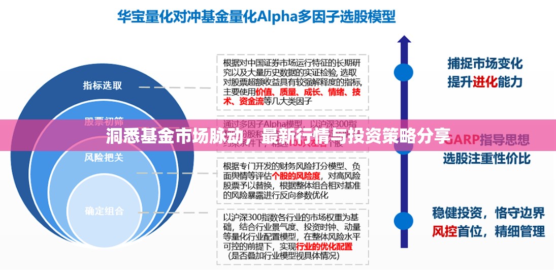洞悉基金市場脈動，最新行情與投資策略分享