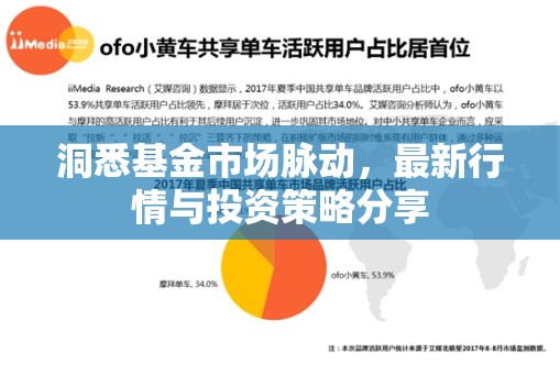 洞悉基金市場脈動，最新行情與投資策略分享