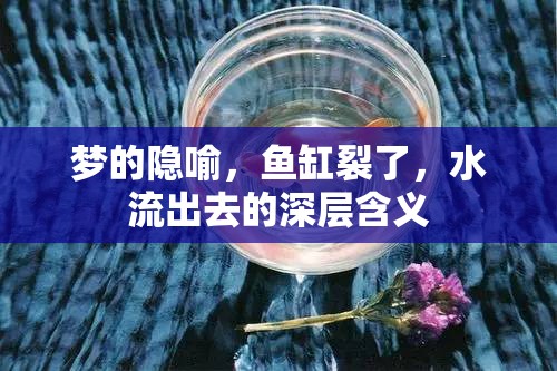夢的隱喻，魚缸裂了，水流出去的深層含義