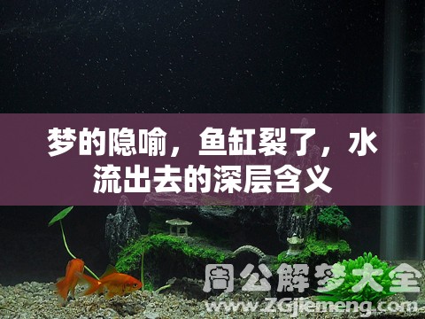 夢的隱喻，魚缸裂了，水流出去的深層含義
