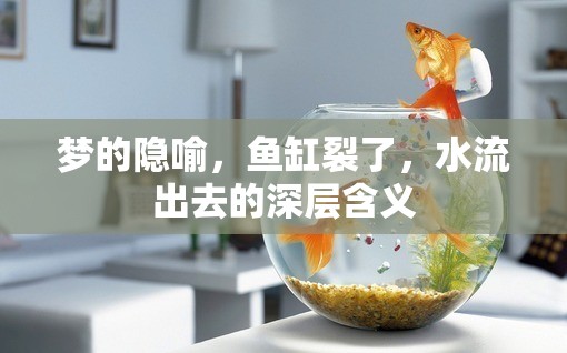 夢的隱喻，魚缸裂了，水流出去的深層含義