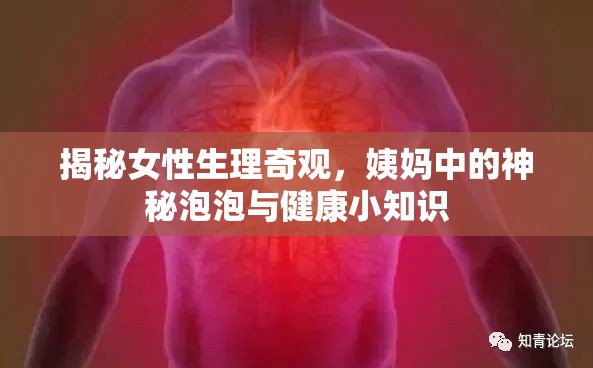 揭秘女性生理奇觀，姨媽中的神秘泡泡與健康小知識