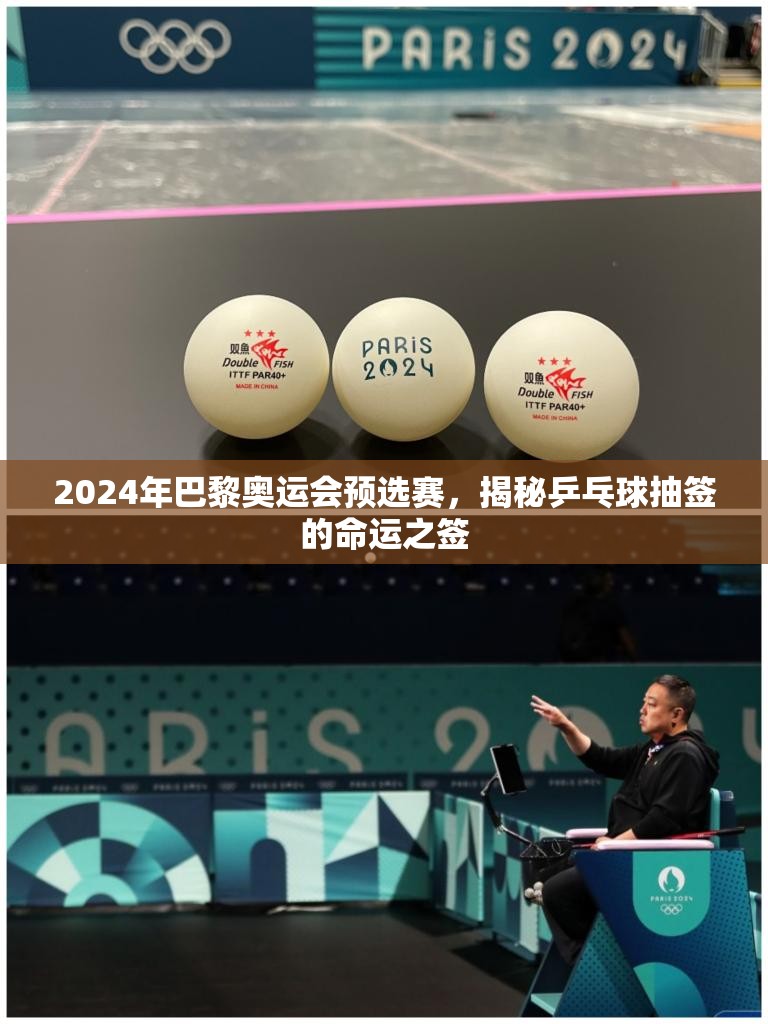 2024年巴黎奧運(yùn)會(huì)預(yù)選賽，揭秘乒乓球抽簽的命運(yùn)之簽