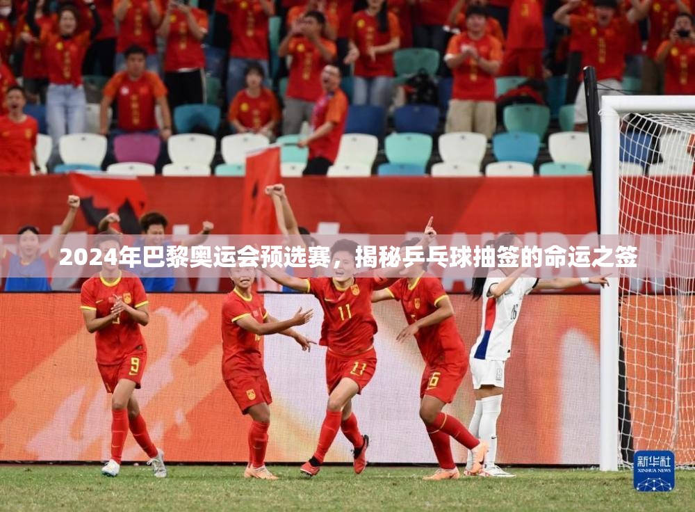 2024年巴黎奧運(yùn)會(huì)預(yù)選賽，揭秘乒乓球抽簽的命運(yùn)之簽