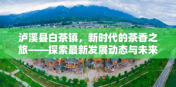瀘溪縣白茶鎮(zhèn)，新時代的茶香之旅——探索最新發(fā)展動態(tài)與未來展望