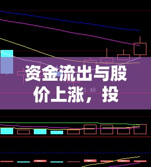 資金流出與股價上漲，投資者智慧抉擇的背后