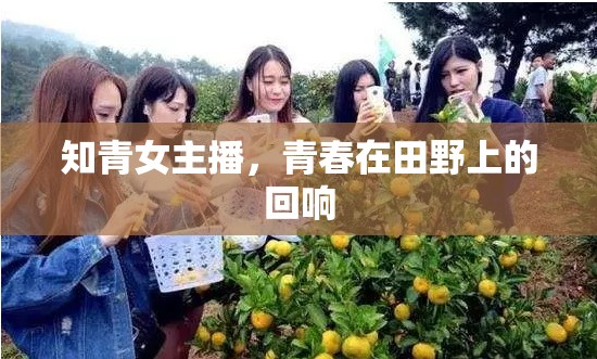 知青女主播，青春在田野上的回響