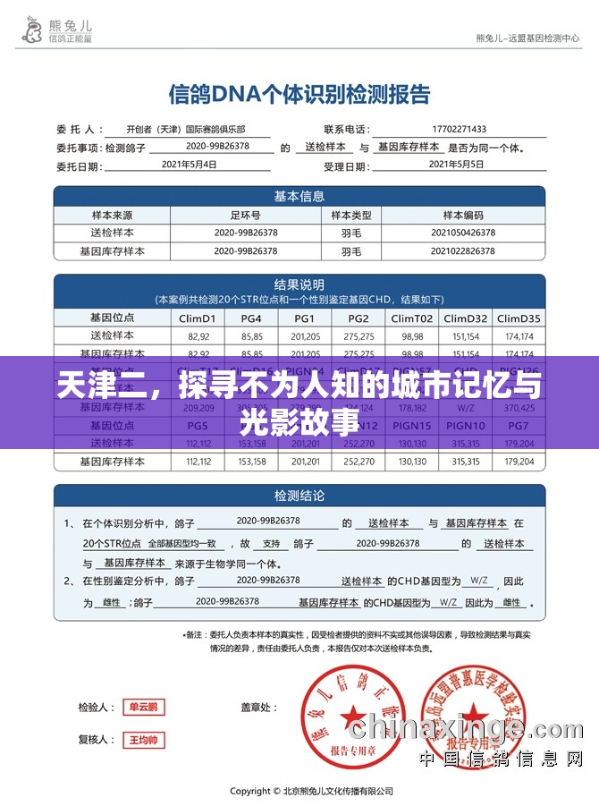 天津二，探尋不為人知的城市記憶與光影故事