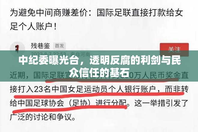中紀(jì)委曝光臺(tái)，透明反腐的利劍與民眾信任的基石