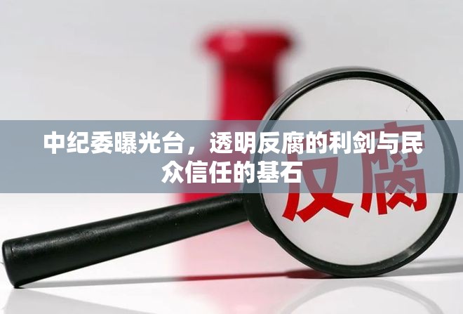 中紀(jì)委曝光臺(tái)，透明反腐的利劍與民眾信任的基石