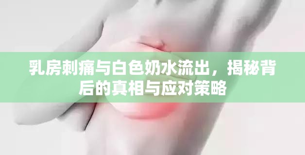 乳房刺痛與白色奶水流出，揭秘背后的真相與應(yīng)對(duì)策略