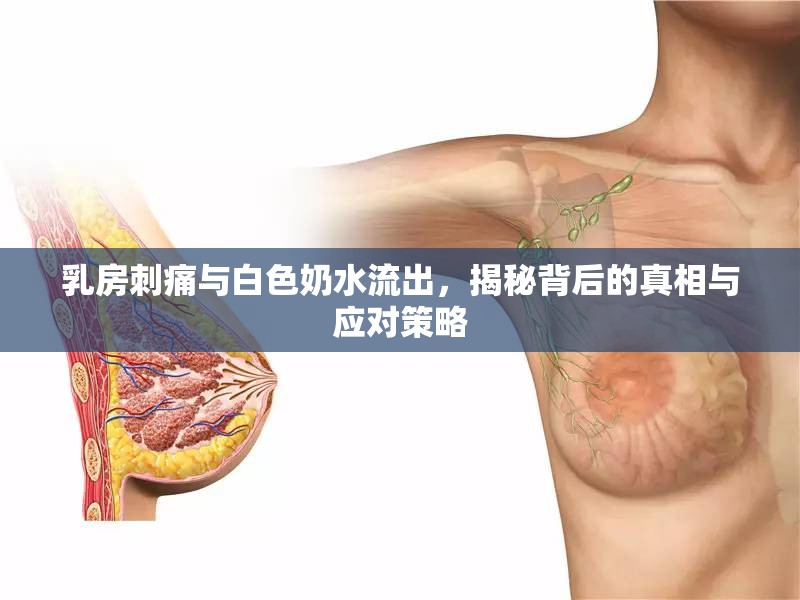 乳房刺痛與白色奶水流出，揭秘背后的真相與應(yīng)對(duì)策略