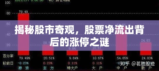 揭秘股市奇觀，股票凈流出背后的漲停之謎