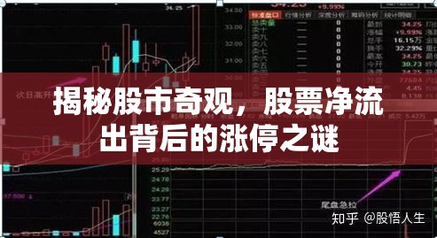 揭秘股市奇觀，股票凈流出背后的漲停之謎