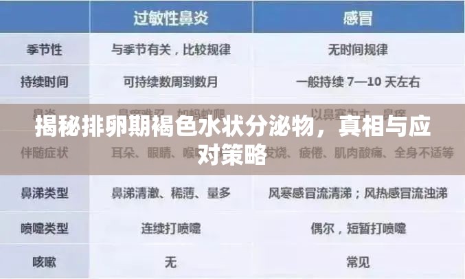 揭秘排卵期褐色水狀分泌物，真相與應(yīng)對策略
