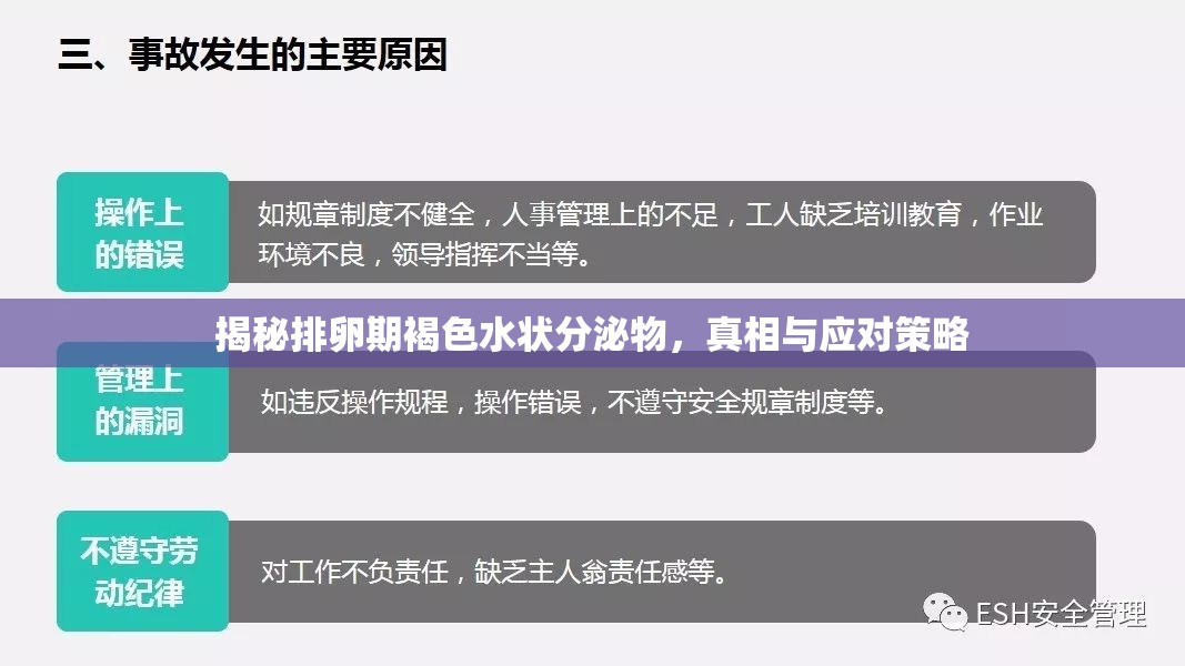 揭秘排卵期褐色水狀分泌物，真相與應(yīng)對策略