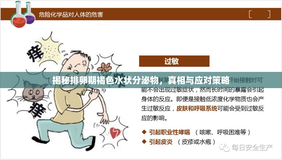 揭秘排卵期褐色水狀分泌物，真相與應(yīng)對策略