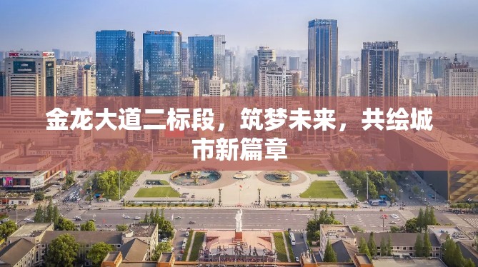 金龍大道二標段，筑夢未來，共繪城市新篇章