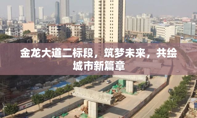 金龍大道二標段，筑夢未來，共繪城市新篇章